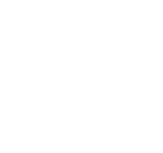 primaryLogo